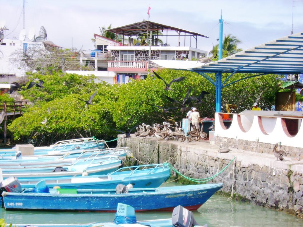 Hotel Pelican Bay Puerto Ayora  Dış mekan fotoğraf
