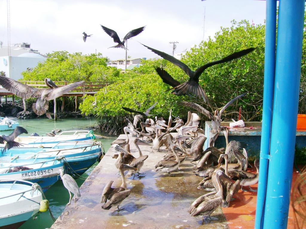 Hotel Pelican Bay Puerto Ayora  Dış mekan fotoğraf